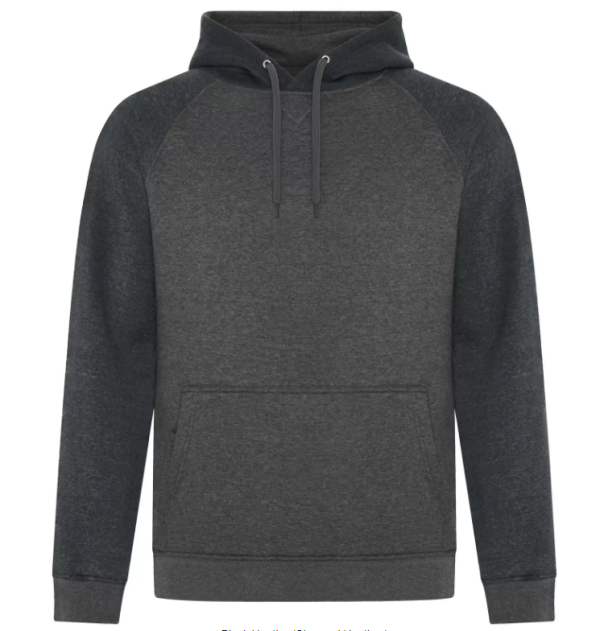 ESACTIVE® VINTAGE TWO TONE HOODED SWEATSHIRT. F2044 - Image 3